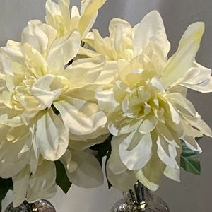 Meet your Posher, La-meil